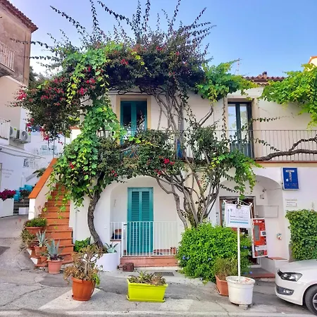 Gæstehus La Perla Del Porto Di House Maratea