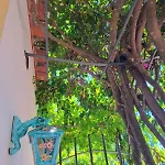 게스트하우스 La Perla Del Porto Di House 마라테아