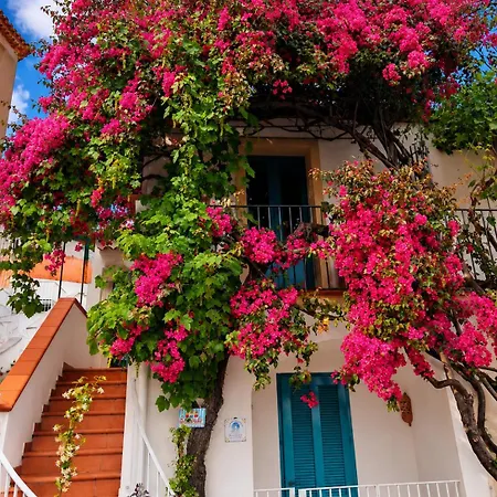 La Perla Del Porto Di House Maison d'hôtes 3*