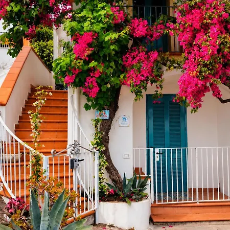 La Perla Del Porto Di House Maison d'hôtes