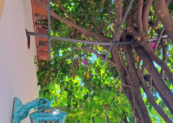 Maison d'hôtes La Perla Del Porto Di House Maratea